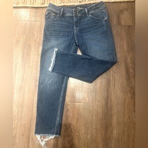 Hudson Mid Rise Crop Skinny Kristin Frey With Two outer Buttons